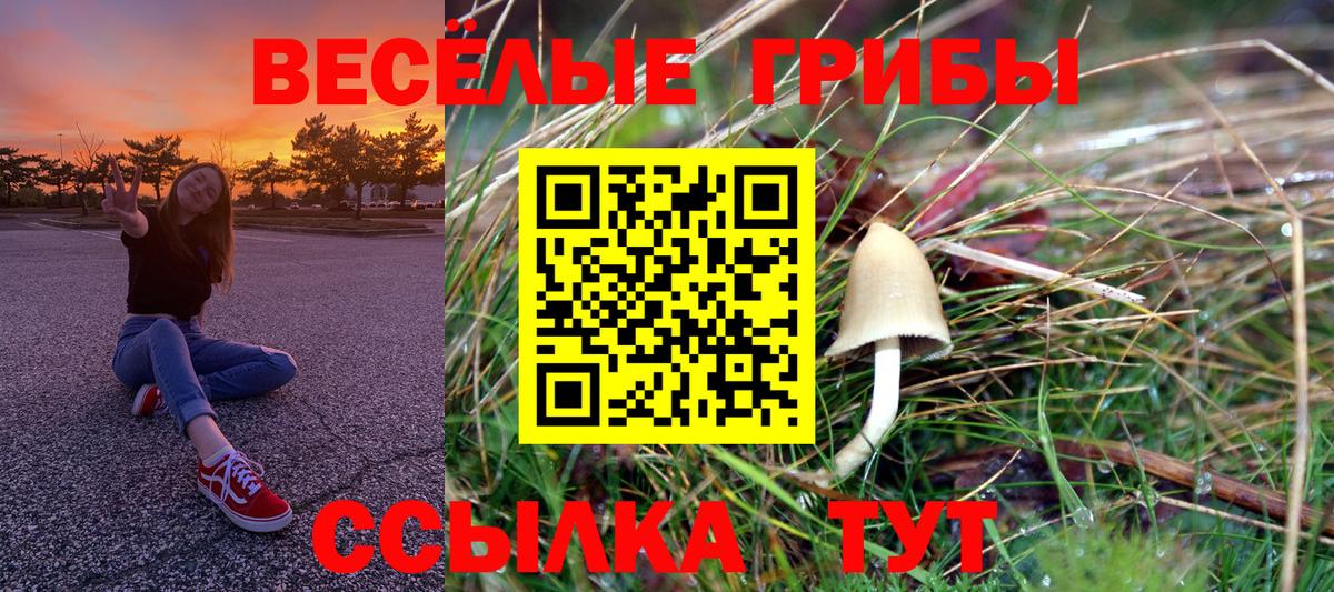 Кушва  Псилоцибиновые грибы мицелий  Вход с VPN 