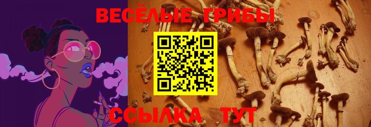 Галлюциногенные грибы Magic Shrooms Кушва